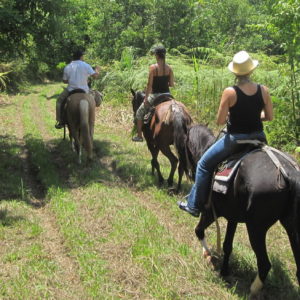 horseback_ride_in_the_cangrejal_valley